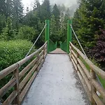 Gorski Biser Mojstrana