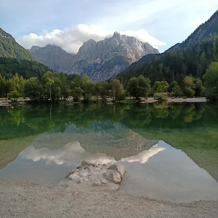 Homestay Gorski Biser