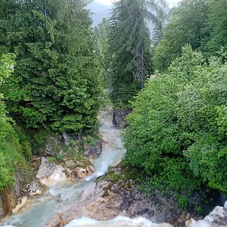 Nastanitev v družini Gorski Biser