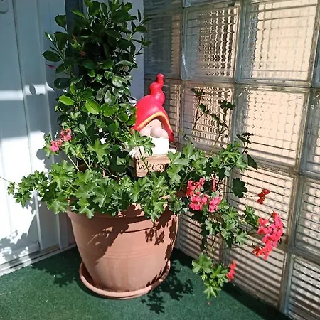 Gorski Biser Homestay Mojstrana