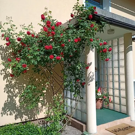 Gorski Biser * Mojstrana