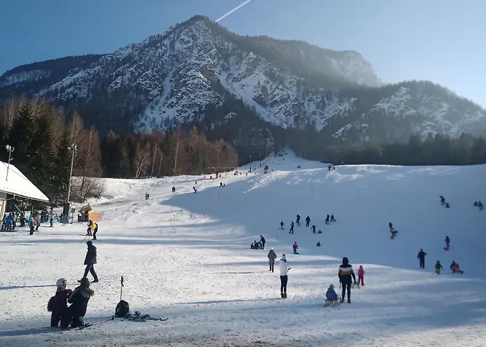 Accommodatie bij particulieren Gorski Biser Mojstrana