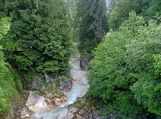 בית אירוח Gorski Biser