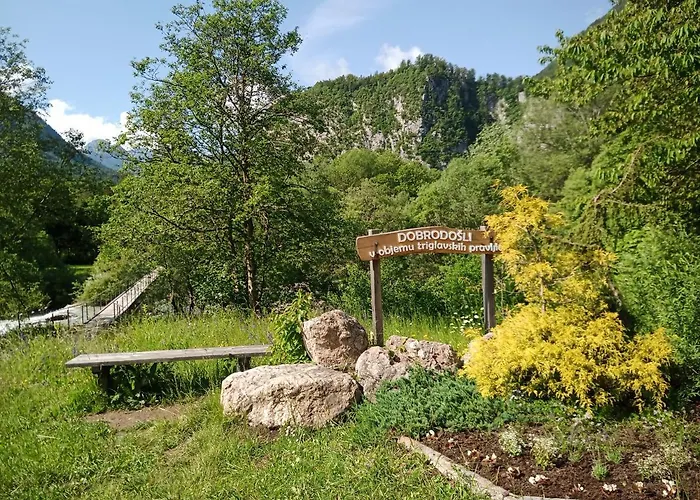 Gorski Biser Accommodatie bij particulieren Mojstrana