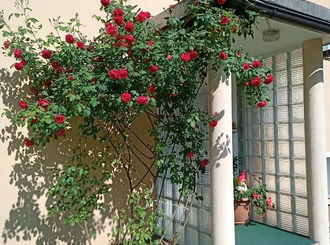 Gorski Biser * Mojstrana