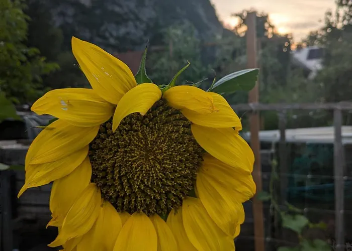 Gorski Biser Accommodatie bij particulieren Mojstrana